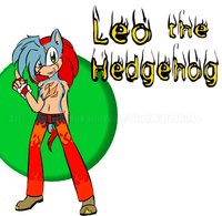 Leo the Hedgehog by GalaxyCheetah - male, hedgehog, sonic, scars, sonic the hedgehog