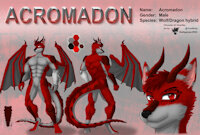 ref736/ Reference: Acromadon by darkgoose - dragon, feline, wolf, male, commission, hybrid, sheet, ref, canid, darkgoose, reference, sfw, rs