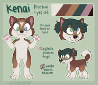 Kenai!! by LilKenaiPup - dog, babyfur, cub, girl, female, reference sheet, cubs, babyfurs, baby, little, ref, ref sheet, reference, baby fur, klee kai, cubfur, refsheet, referencesheet, little girl, littlefur, references, babyfurry