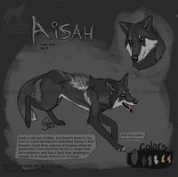 Aisah Reference by LostWolfSpirit - wolf, male, reference sheet, canine, feral, model, character, sheet, ref, canid, ref sheet, reference, quad, quadruped, shapeshifter, arachnid, lostwolfspirit, minnowfish, instantcoyote, aisah