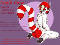 Candi Cane by MrHart - feline, female, pinup, character sheet