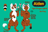 [REF] Aiden Emberfur by DevinWyldeheart - dragon, cat, feline, hybrid, reference sheet, tiger, design, character, sheet, ref, reference, big cat, refsheet, character reference, masculine, wild cat, tiger dragon, non-binary