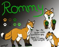 Rommy Character sheet by Rommywinterlight - fox, cute, male, character sheet