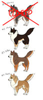 Feral Collie adopts! [open] by M1LKB4RK - dog, puppy, border collie, canine, collie, adoptable, adopt, adoptables, ambiguous gender, adoptable open