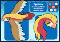 Sparrow the Pidgeot by IGSA101 - male, pokemon, collar, character reference, pidgeot, pokemon oc, pokemon (species)