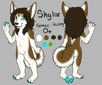 Skylar Reference by silia - female, husky, fennec