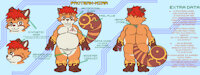 [Art] Protean Mirr by MirrTheRedPanda - belly, chubby, reference, redpanda, flatcolor