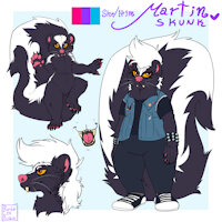 Martin the skunk by BardoEnKrisis - skunk, anthro, text, clothing, white fur, model sheet, reference image, skunk tail