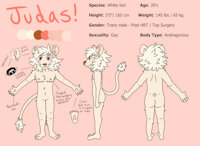 Judas Ref 2024 Final by fitte - feline, male, lion, reference sheet, transgender, ftm, white lion, transmale, trans male