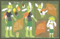 Cray ref by Craymin - boy, male, pokemon, shaymin, skymin