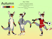 Autumn Reference by AutumnRoo - male, reference sheet, coyote, kangaroo, kangaroo hybrid, character, ref, football, soccer, uniform