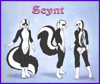 Scynt Ref Sheet by MoodyFerret by Scynt - male, reference sheet, freckles, skunk, braid, girly, fluffy, femboi, fem, ref, reference, girlyboi, girlyboy, femboy, skunks, males