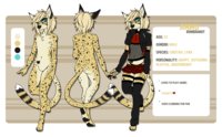 Ammu Refsheet (toon) by AmberR - male, skirt, crossdressing, femboi, lynx, cheetah