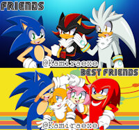 Sonic Friends and Best Friends by kamiraexe - sonic the hedgehog, amy rose, knuckles the echidna, shadow the hedgehog, miles tails prower, silver the hedgehog