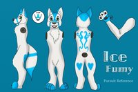 Icefumy Reference - Read description by Icefumy - female, male, herm, ice, magical, artic fox, mysterious