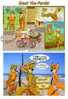 Meet the Pards! (Character Reference Thingy) by Micke - fox, female, male, leotard, leopard, spots, bodypaint, vixen, bodypainting, vulpine, swimsuit, multiple species, multiple characters, leopard spots, rävelina, ravelina, ravelinafox