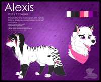 Alexis [Feral] Reference by LexiPupcakes - female, wolf, stripes, emo, scene, sparkledog