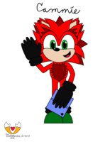 Cammie - My Sonic Persona by ParadoxPandox - red, male, hedgehog, blush, sonic, persona, sonic the hedgehog, cammie