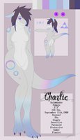 Charlie, The Sensitive One.  by NineLives - female, reference sheet, lizard, amphibian, reptile, sheet, ref, salamander, reference
