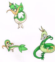 Stages of Anatole. by drasus - male, pokemon, snivy, serperior, servine