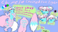 Skyy's Ref Sheet by Kitsuneskyy - diaper, cute, male, tiger, sexy, diapers, pink, diaperfur, diaperfurs, kitsuneskyy, foxt