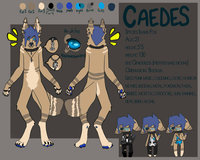 caedes is a dillhole by mechanicalApocalypse - genderless, reffrence, islandfox