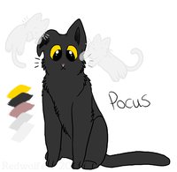 Pocus ref by Reddywolf - cats, monster, chibi, ghosts, pocus, catdogchibi