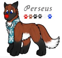 Perseus ref by Reddywolf - wolf, hybrid, ref, maned, perseus