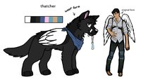 thatcher ref by Reddywolf - fox, wolf, thing, human, german shepherd