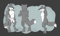 Kellan Wulf by KJwulf - wolf, male, underwear, reference sheet, briefs