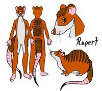 Rupert Meerrat by GrooDeeAussieroo - male, hybrid, reference sheet, rat, meerkat, ref sheet, reference, refsheet