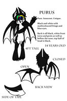 Purus! The BatBoy! Ref Sheet by DDDAfterDark - male, bat, story, character, sheet, reference, hero, sidekick