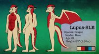Lupus-SLE, The Reference Sheet! by LupusSLE - dragon, male, reference sheet