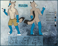 Rizzja the Coyote by Rizzja