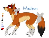 madison old ref by Reddywolf - female, wolf, ethiopian, madison, redcoat