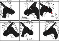 Expressions by Tanhir - meme