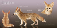 Thanderan Charactersheet by wolfenwinter - fox, male, fennec, desert