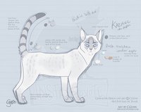 Kazael Reference by LostWolfSpirit - cat, feline, male, reference sheet, character sheet, feral, model, character, domestic, ref, ref sheet, reference, non-anthro, quad, quadruped, arachnid, domestic cat, model sheet, lostwolfspirit, minnowfish, instantcoyote, kazael