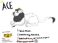 my lion, Ace. by KingAce - male, lion, ref, reference