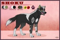 Shoku Reference Sheet 2013 by Keji - female, wolf, wolves, sheet, reference, 2013, keji, shoku