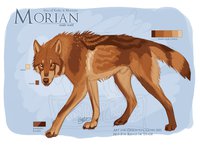 Morian - Ref by LostWolfSpirit - wolf, male, reference sheet, canine, character sheet, feral, model, character, ref, canid, ref sheet, reference, non-anthro, quad, quadruped, arachnid, lostwolfspirit, minnowfish, instantcoyote, morian