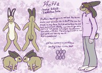 Pfeffa Reference Sheet by SnowshoeAviator - bunny, female, rabbit, snowshoe hare, celitc knot