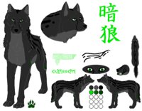 Kurai Ookami Feral Reference Sheet by KuraiOokami - male, reference sheet, king cheetah, black wolf, wokitah