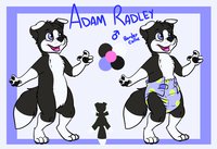 Adam Radley: The giant Baby Border Collie by nh63879 - dog, babyfur, diaper, cub, male, border collie, baby fur - tame