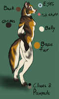 Jessie The Macro Beauty by nh63879 - dog, female, shepherd, macro, f/solo, australian shepherd