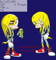 Ki Thorndyke by SonicSpirit - female, echidna, ki, thorndyke