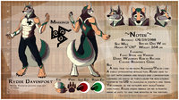 [CM - Ryder Davenport] Detailed Character Sheet by Ceowolf - dog, wolf, male, canine, heterochromia, clean, furry, photoshop, drawing, dire wolf, anthropomorphic, digital art, full body, sfw, ceowolf evandean, complex background, cursed wolf commissions, complex character sheet, ryder davenport