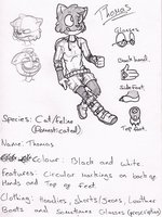 Thomas the really useful engi- uh, cat! by DDDAfterDark - cat, feline, male, character sheet, the, pose, character, sheet, thomas, really, engine, useful, domesticated