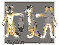 Repofox refsheet by RepoFox - fox, male, gray