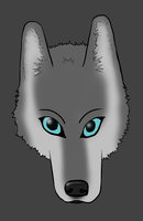 Random Wolf Head by Shokuji - wolf, male, shokuji, headshot